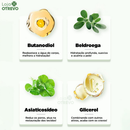 Mascara de Centella Natural Removedora de Cravos, Acne e Poros - CentellaMask®